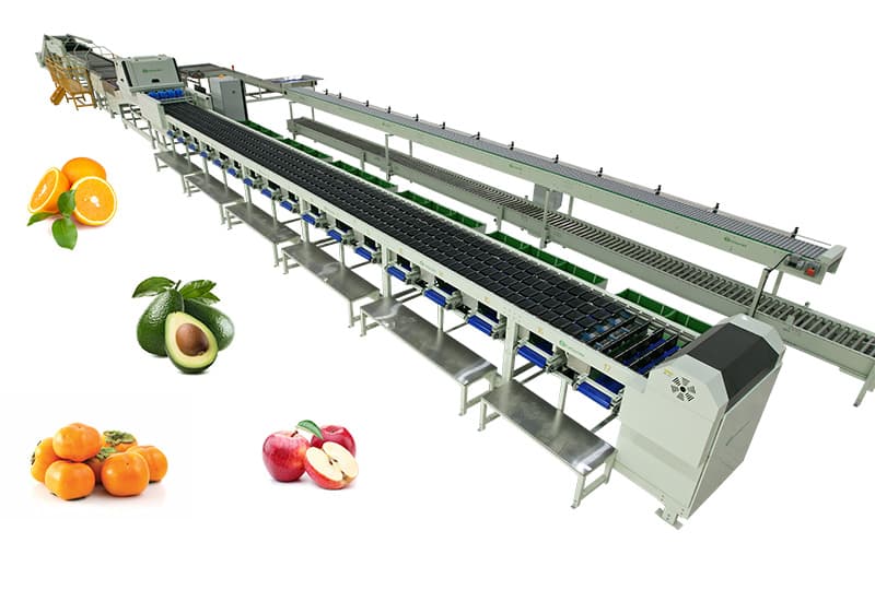 images/1721979983841Tajikistan Persimmon optical sorting machine.jpg